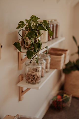 Pine Bracket Shelf